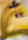 Image 4-5